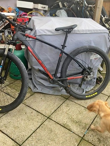 Bici collezione c100 - bici,